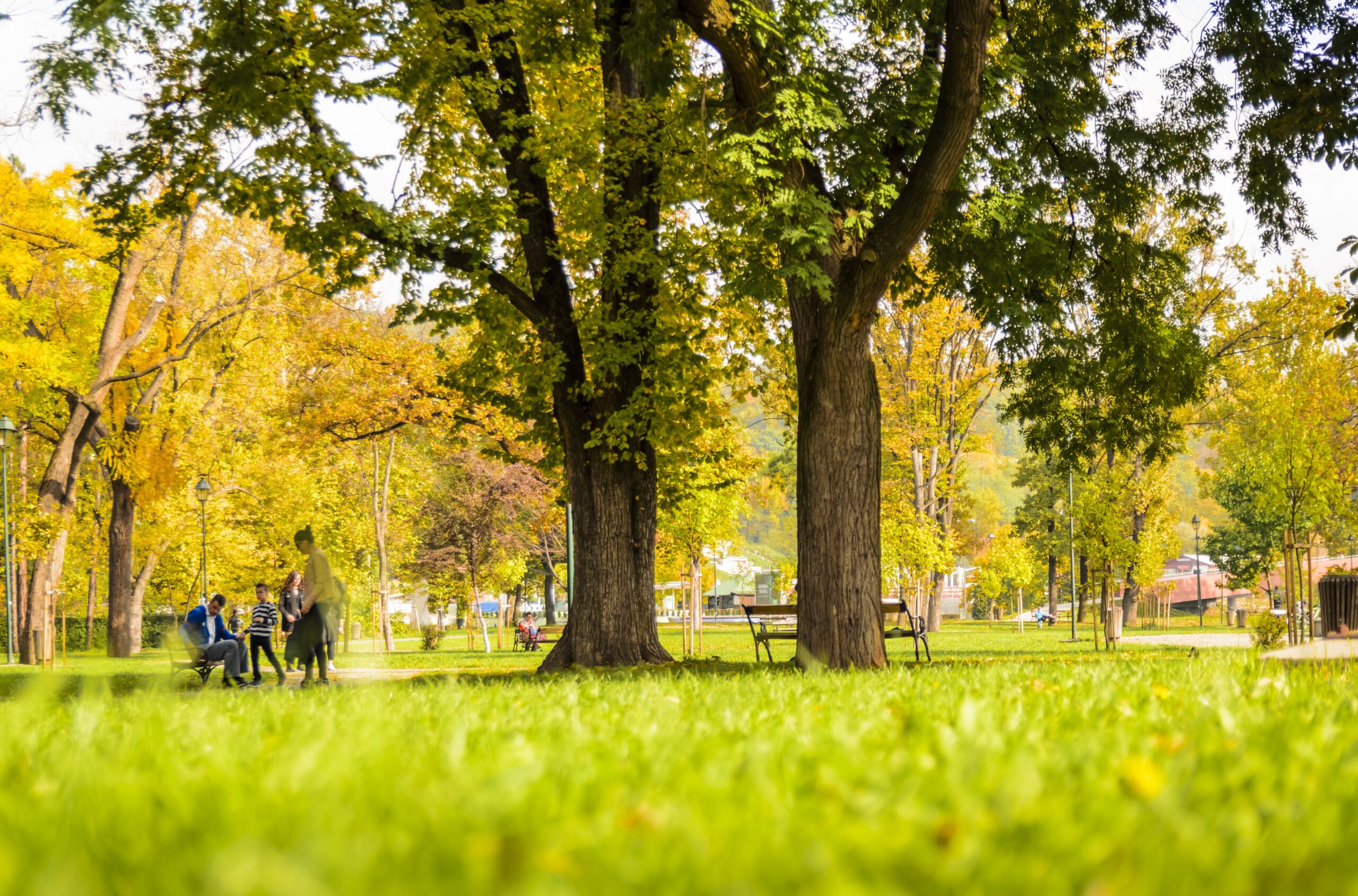 Where Is The Nearest Park And Playground?