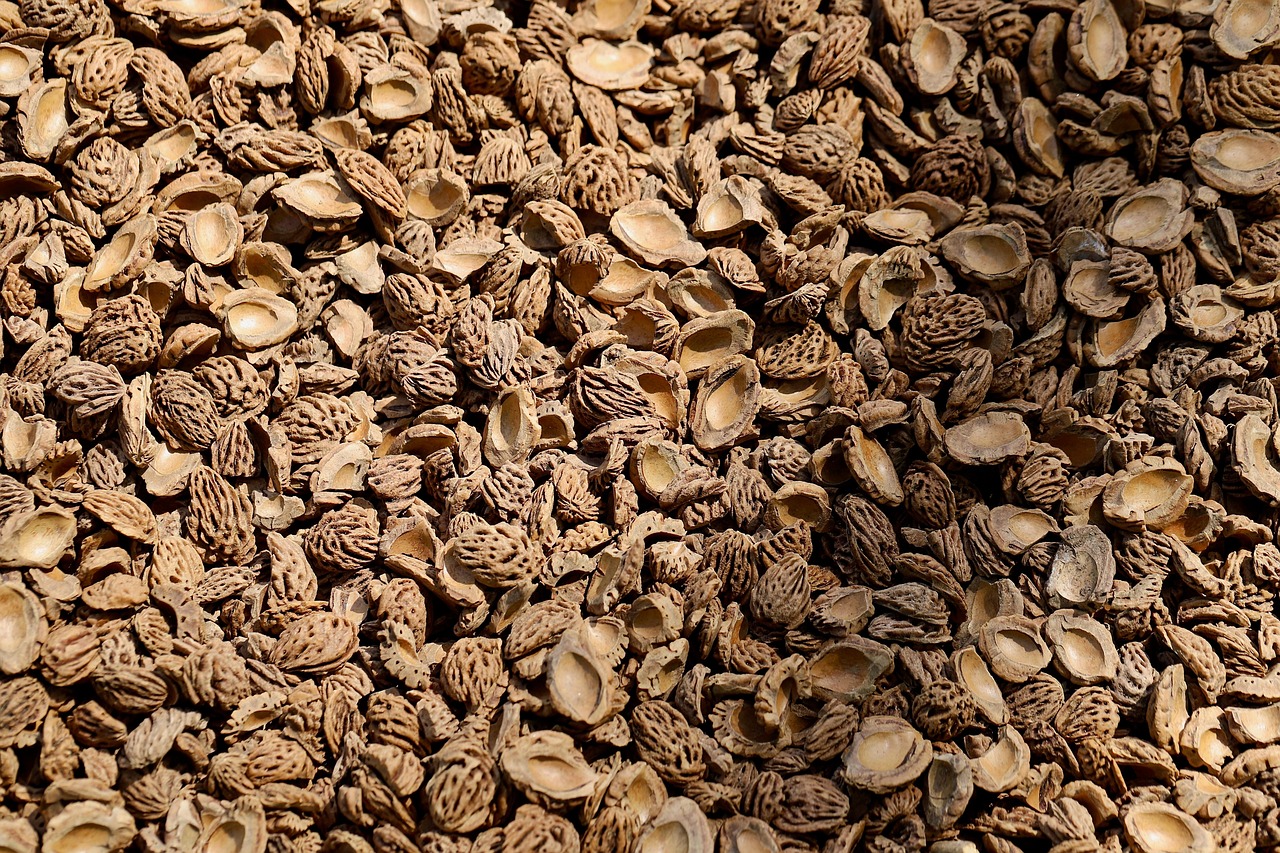 Can I Use Regular Mulch For A Playground?